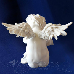 CHERUB 20CM