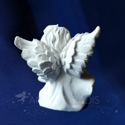 anges blancs
