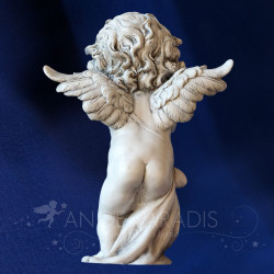 anges gris
