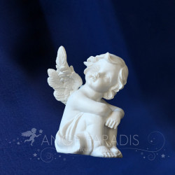 PETIT CHERUBIN