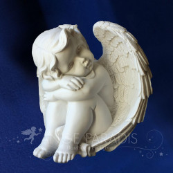 ange amazon anges amazon