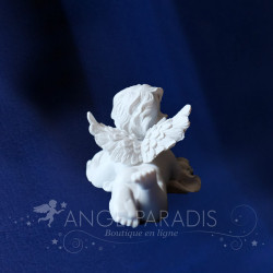ange animal compagnie