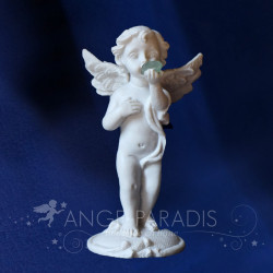 gentil comme un ange