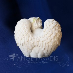 ANGES BLANCS NACRE