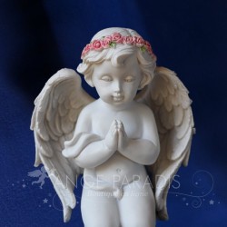 PROPHETIE ANGE