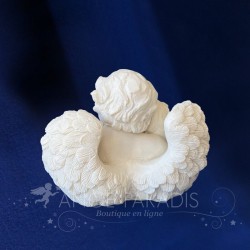 CHERUBINS BLANCS