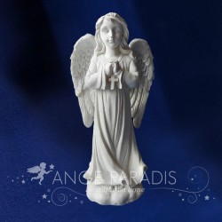 anges blancs