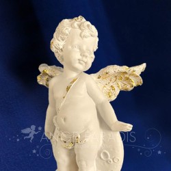 ANGES