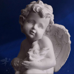 TETE ANGE