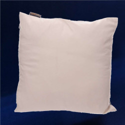 COUSSIN ANGE HOUSSE