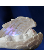 ★ ANGES LUMINEUX